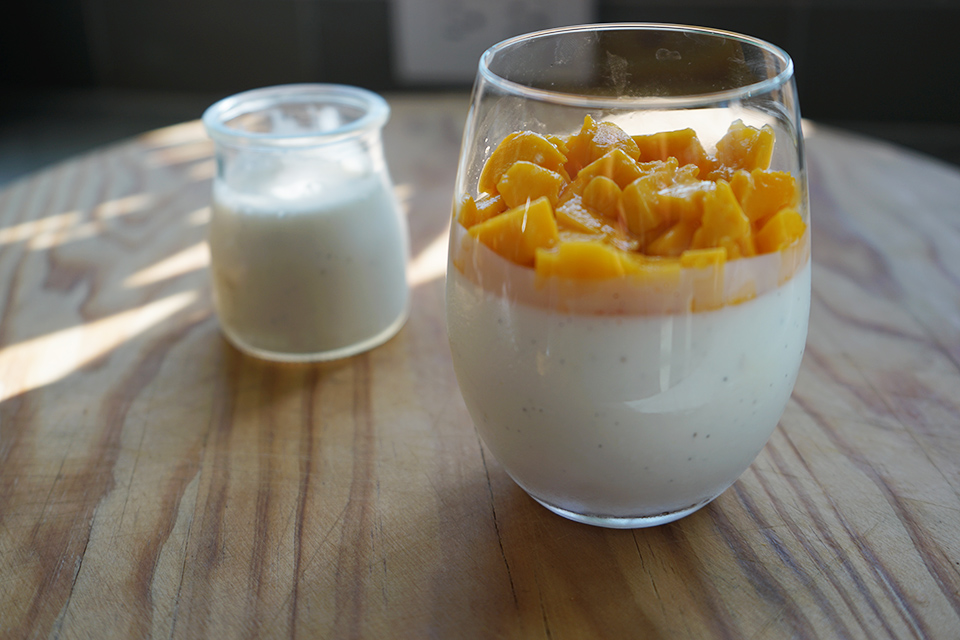 Yogurt Panna Cotta with Mango