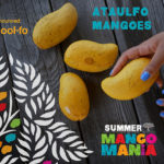 Oliver's Markets Summer Mango Mania -  Demo & Tasting, Spotlight Ataulfo