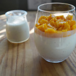 Yogurt Panna Cotta with Mango