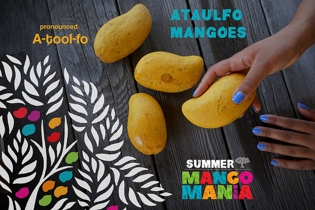 <a class="wonderplugin-gridgallery-posttitle-link" href="https://www.underthemangotree.crespoorganic.com/2017/06/14/olivers-markets-summer-mango-mania-demo-tasting-spotlight-ataulfo/" target="_blank">Oliver's Markets Summer Mango Mania -  Demo & Tasting, Spotlight Ataulfo</a>